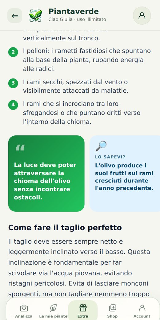 Consigli e curiosità in evidenza negli articoli di Piantaverde