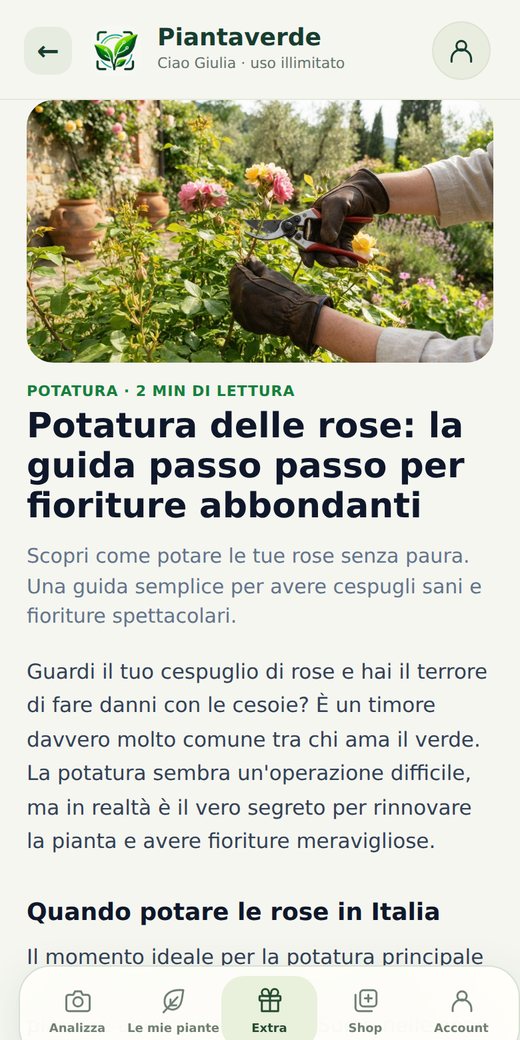 Un articolo del blog di Piantaverde: la potatura delle rose